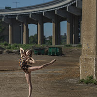 //images.artistrunwebsite.com/gallery/img_1931081467014515_large.jpg?1530246154